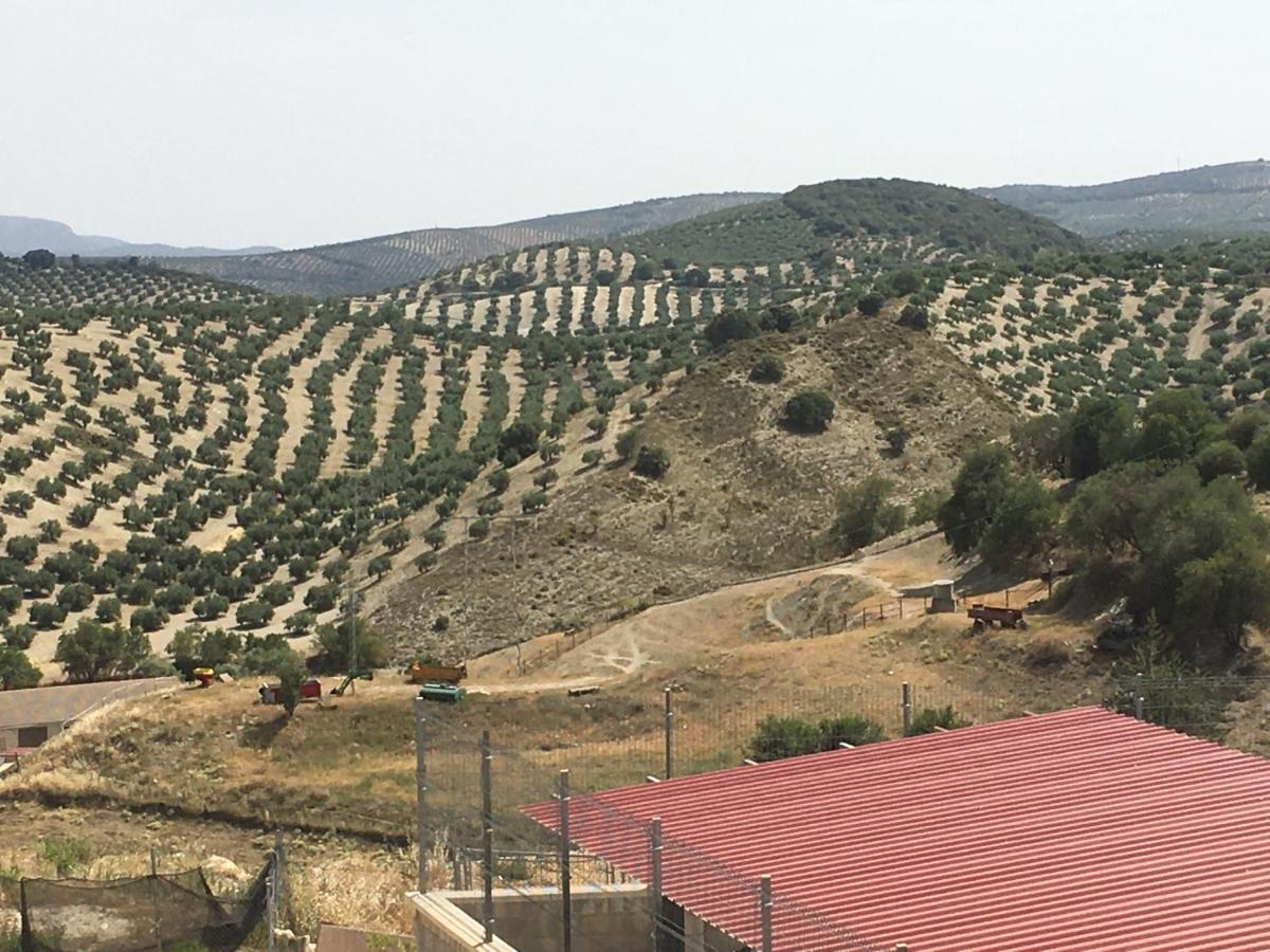 Apartamento Turistico Mirador De Sierra Magina Noalejo Entre Granada Y Jaen Kültér fotó